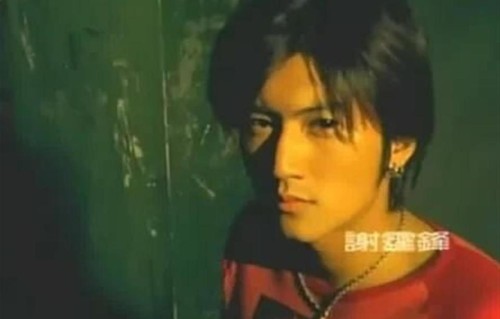 直到儿子上大学了,才发现,谢霆锋是第二个平鑫涛,王菲她亏不亏