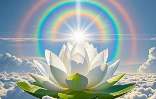 世间万物皆为能量：你的频率，决定了你活出的世界