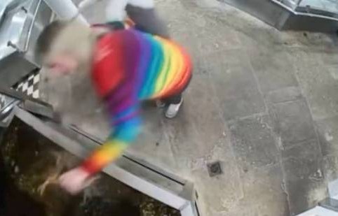 英国白左大妈强行冲进餐厅放生龙虾 被告还获缓刑