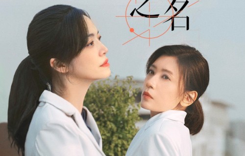 从死对头到神队友,姚晨贾静雯《以美之名》把整容刀变成手术刀,让医美行业第一次有了“病历本”